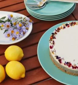 Sweet Gorilla Mentes Tortaműhely