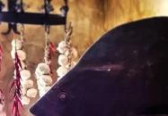 Szegedi Halbisztró Kiskőrössy 2.0 Budapest