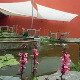 Szőnyi Étterem Budapest - Egyéb