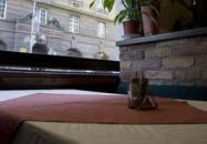 Tabáni Kakas Étterem Budapest