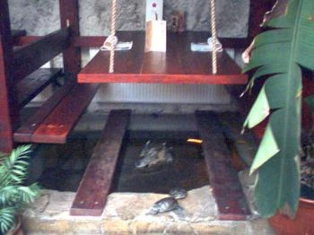 Tortuga Étterem Budapest