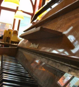 Vakvarjú Étterem - Pest