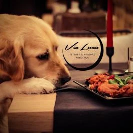 Via Luna Étterem Budapest - Egyéb