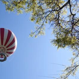 Ballon-kilátó Budapest - Egyéb