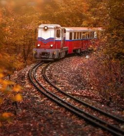 Széchenyi-hegyi Gyermekvasút