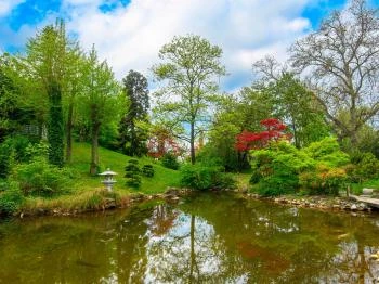 Fővárosi Állat- és Növénykert japánkertje Budapest