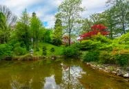 Fővárosi Állat- és Növénykert japánkertje Budapest