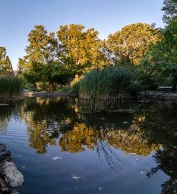 26. legjobb látnivaló: Zuglói Japánkert