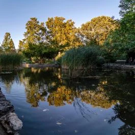 Zuglói Japánkert Budapest - Egyéb