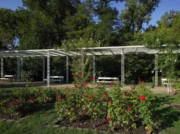 Margit-szigeti rózsakert Budapest