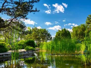 Margitszigeti Japánkert Budapest