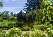 Margitszigeti Japánkert Budapest