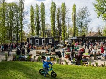 Római-parti Termelői Piac Budapest