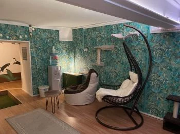 Cat Museum Budapest Budapest