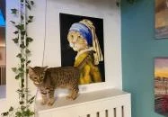 Cat Museum Budapest Budapest