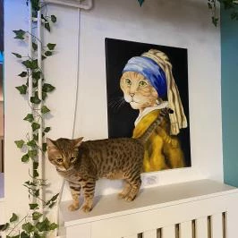 Cat Museum Budapest Budapest - Egyéb