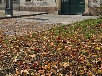 Goldberger Textilipari Gyűjtemény Budapest