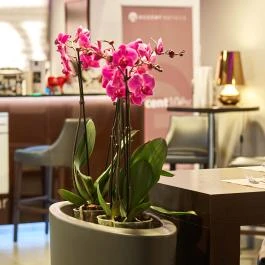 12 Revay Hotel Budapest - Egyéb