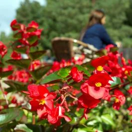 Alfa Art Hotel Budapest - Környék