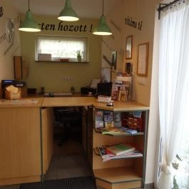 Alfréd Panzió Budapest - Belső