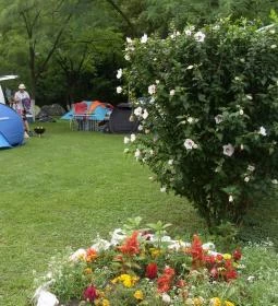 Aréna Kemping & Apartmanház