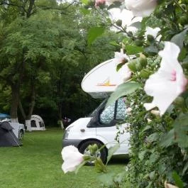 Aréna Kemping & Apartmanház Budapest - Medence/kert