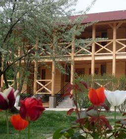 Aréna Kemping & Apartmanház