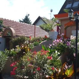 Attila Hotel Budapest - Medence/kert