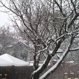 Attila Hotel Budapest - Egyéb