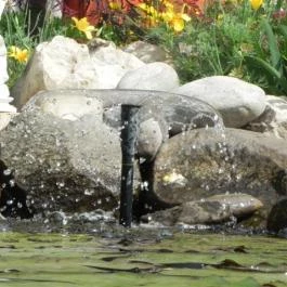 Bai Panzió Budapest - Medence/kert