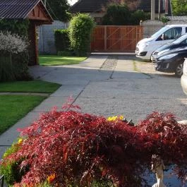 Bai Panzió Budapest - Medence/kert