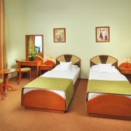 Baross City Hotel Budapest - Szobák