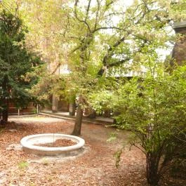 Dominik Panzió Budapest - Medence/kert