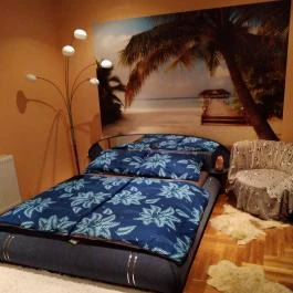 DominikaGarden Apartman Budapest - Szobák