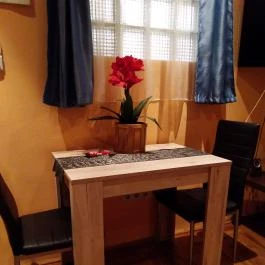 DominikaGarden Apartman Budapest - Szobák