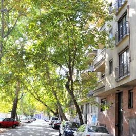 Family Buda Apartman Budapest - Külső kép