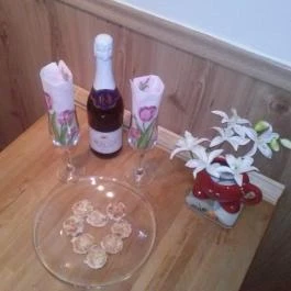 Frida Apartman Budapest - Vendéglátás