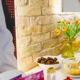 Full Moon Design Hostel Budapest - Egyéb