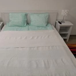 Green Garden Plus Apartman Budapest - Egyéb