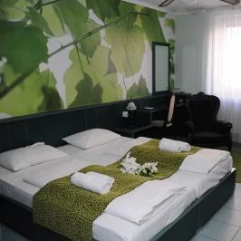 Green Hotel Budapest Budapest - Szobák