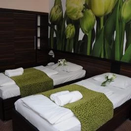 Green Hotel Budapest Budapest - Szobák