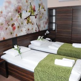 Green Hotel Budapest Budapest - Szobák