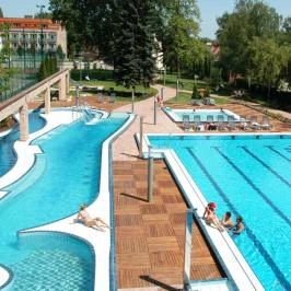 Holiday Beach Budapest Wellness & Conference Hotel Budapest - Medence/kert