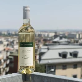 Hotel Castle Garden Budapest - Egyéb