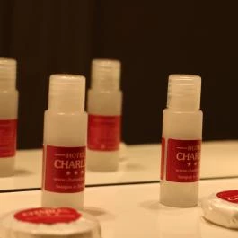 Hotel Charles Budapest - Szobák