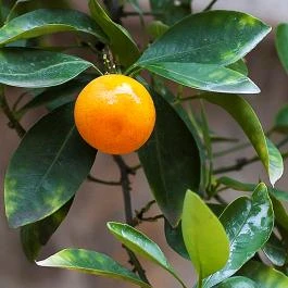 Mediterrán Hotel Budapest - Egyéb