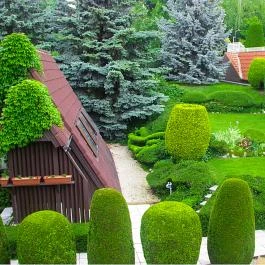 Hotel Molnár Budapest - Medence/kert