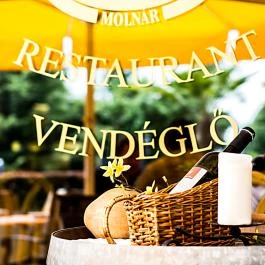 Hotel Molnár Budapest - Vendéglátás
