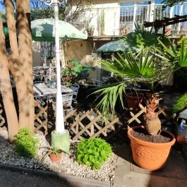 Hotel Oswaldo Budapest - Belső