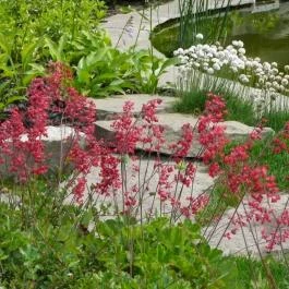 Szőnyi Garden Hotel Pest Budapest - Környék